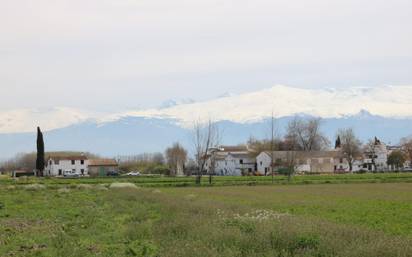 Apartamento en alquiler en fuente vaqueros