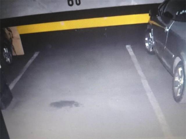 Garaje en Venta en Calle del Duque de Sevilla, 11 en El Viso