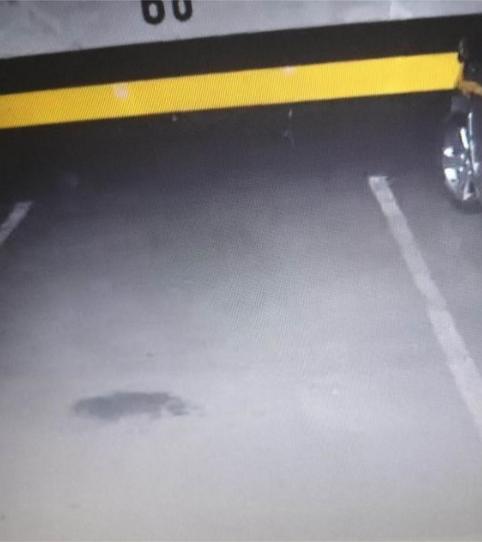 Foto 2 de Garatge en venda a Calle del Duque de Sevilla, 11, El Viso, Madrid