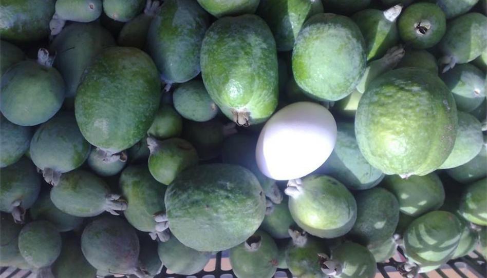 Trastero de alquiler en Calle Hermanos Quintero, 11, Alájar, Huelva - imagen 1 Foto 1 de Trastero de alquiler en Calle Hermanos Quintero, 11, Alájar, Huelva