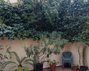 Garden of Flat for sale in Salamanca Capital