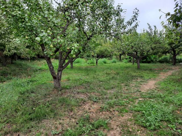 Terreno en Venta en Plaza de la Constitución, 2 en Jadraque