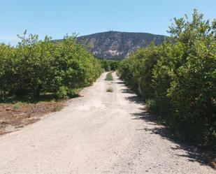 Exterior view of Non-constructible Land for sale in Orihuela