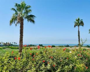 Garden of Flat for sale in Zahara de los Atunes  with Terrace, Swimming Pool and Balcony