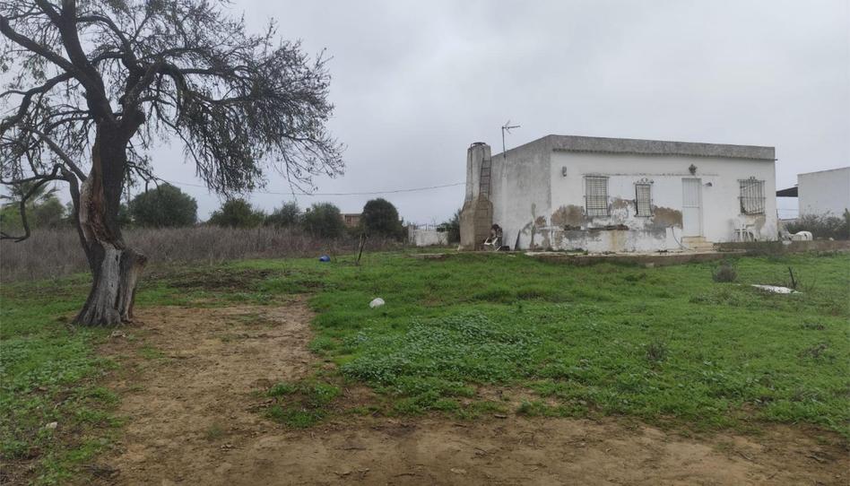 Foto 1 de No Urbanitzable en venda a Avenida Fuente Juncal, 14, Núcleo urbano, Huelva