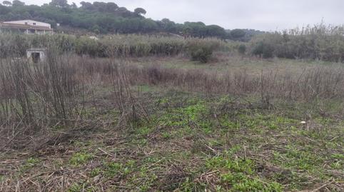 Foto 2 de No Urbanitzable en venda a Avenida Fuente Juncal, 14, Núcleo urbano, Huelva