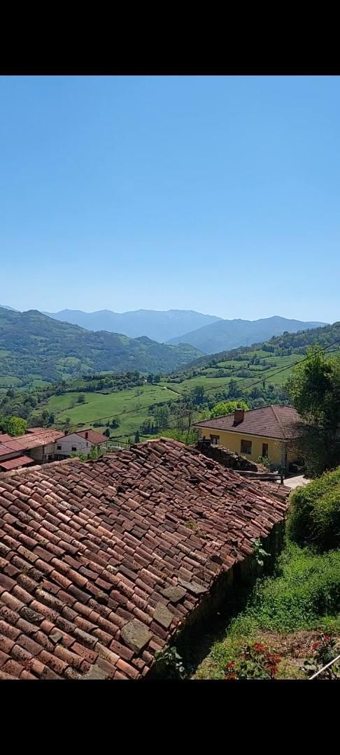 Vista exterior de Finca rústica en venda en Lena
