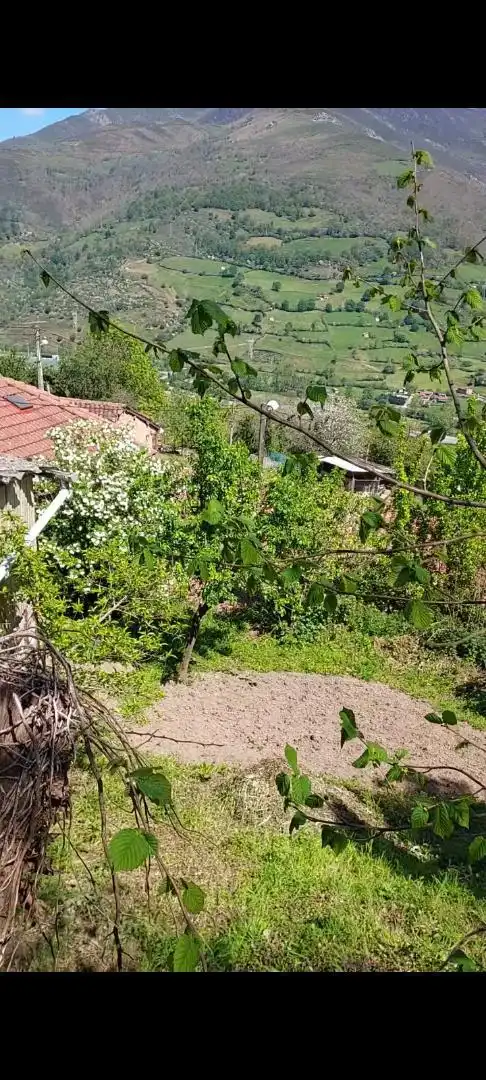Finca rústica en venta en Lena