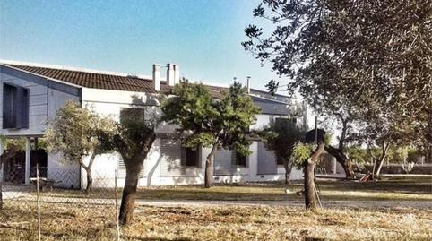 Country house to rent in Camí de Caubet, 1, Bunyola, Illes Balears - image 3 Photo 3 of Country house to rent in Camí de Caubet, 1, Bunyola, Illes Balears