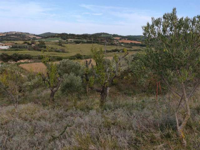 Terreno en Venta en Avenida Constitución en Artajona