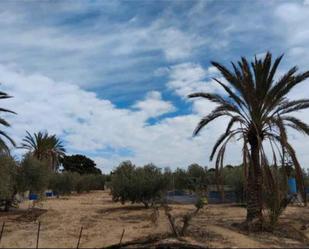 House or chalet for sale in Elche / Elx  with Terrace