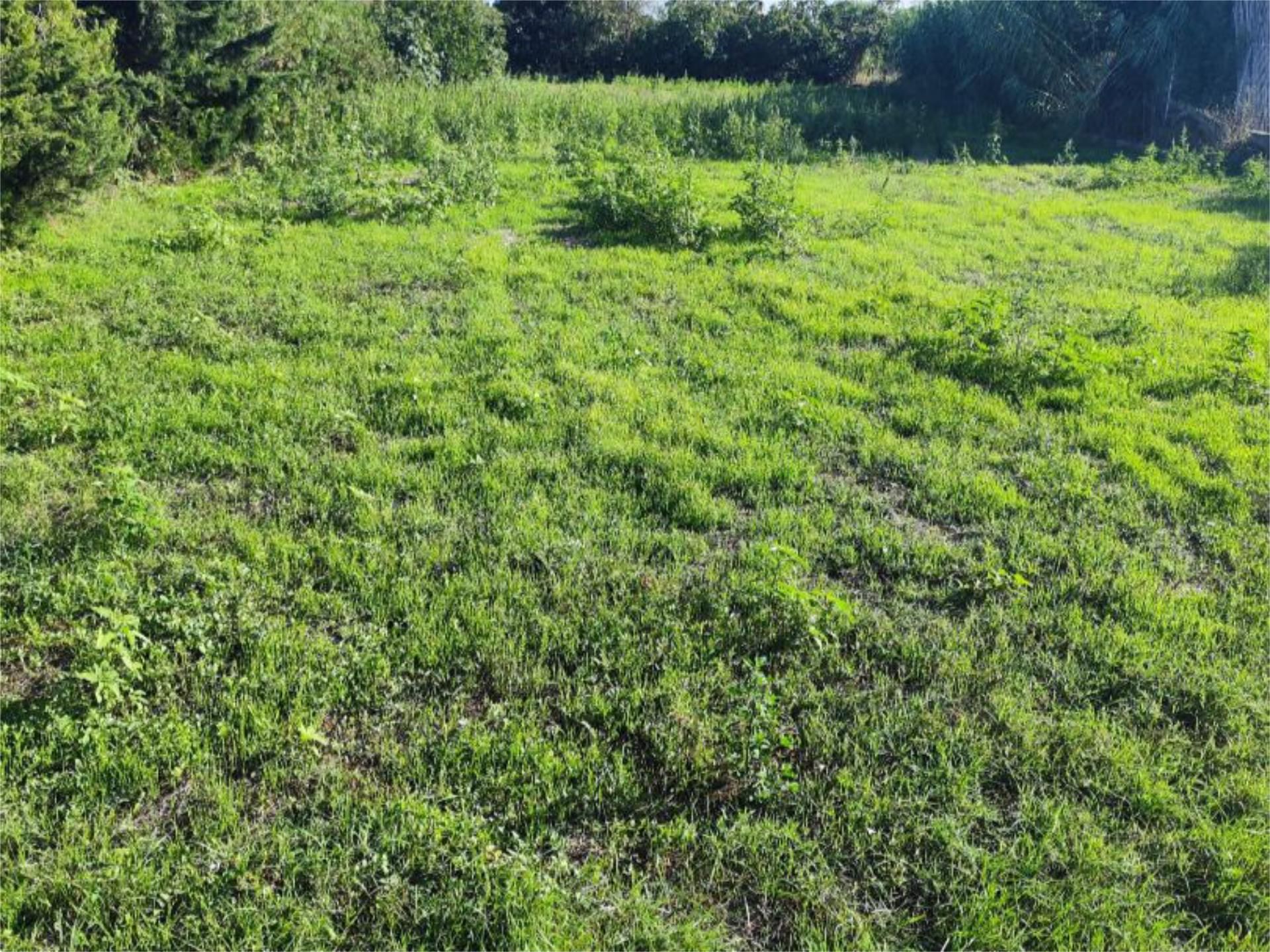 Terreno en venta en Alerre