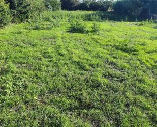 Land for sale in Alerre