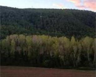 Casa o xalet per a compartir a La Pobla de Claramunt