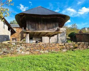 Exterior view of House or chalet for sale in Navia de Suarna