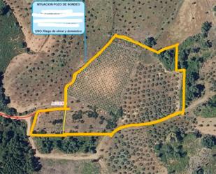 Land for sale in Torre de Don Miguel