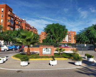 Vista exterior de Loft de lloguer en  Sevilla Capital amb Aire condicionat i Piscina