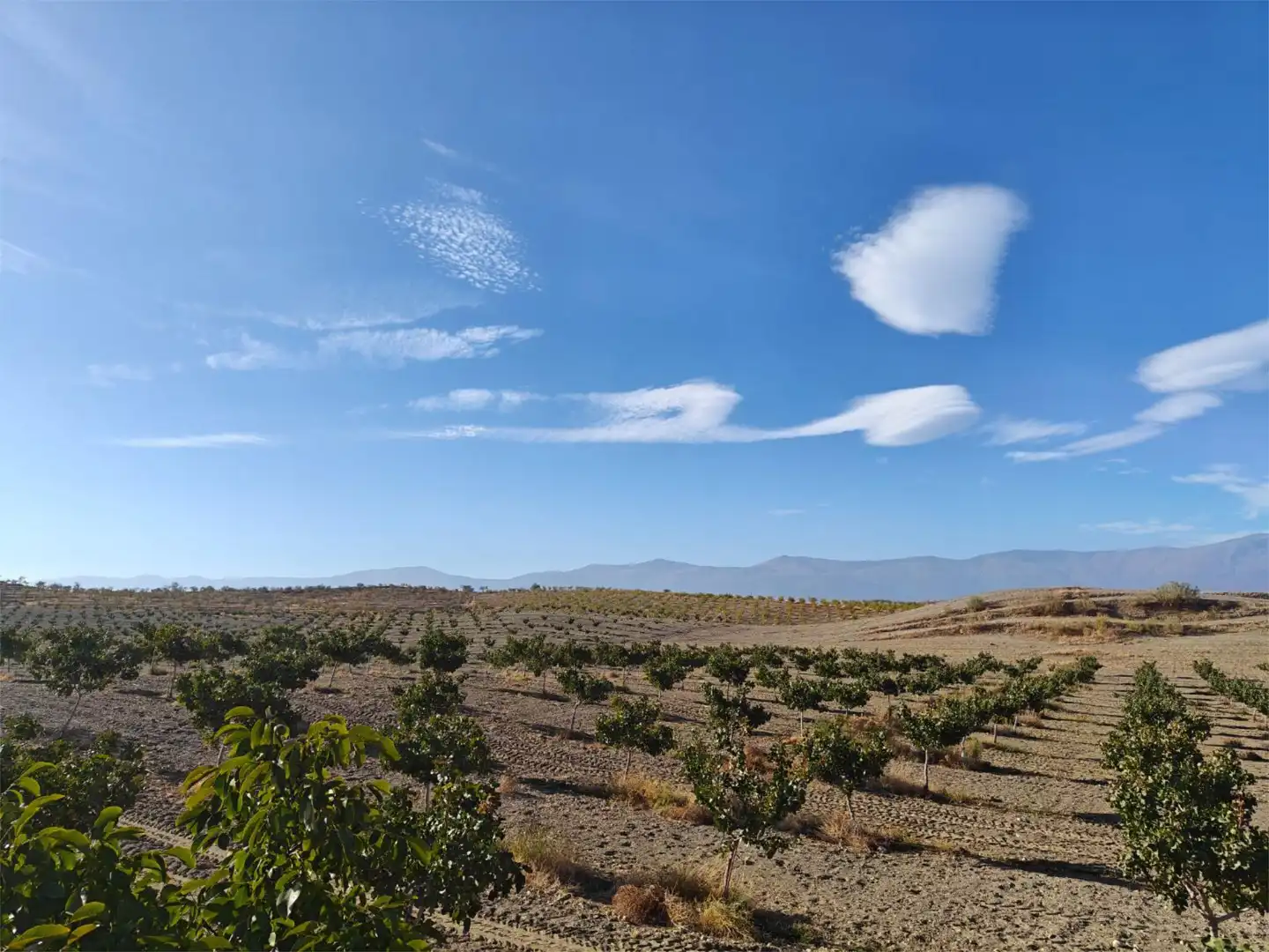 Nicht bebaubares Gelände zum Verkauf in Camino de Gor, 5, Guadix Außenansicht von Nicht bebaubares Gelände zum Verkauf in Guadix
