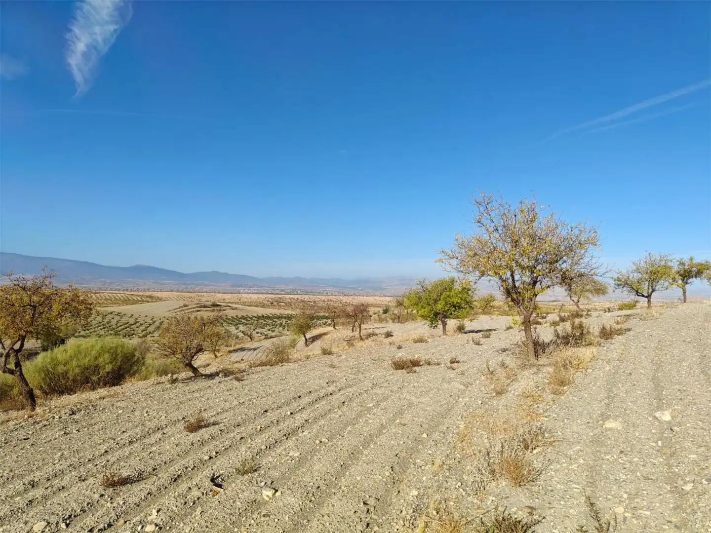 Nicht bebaubares Gelände zum Verkauf in Camino de Gor, 5, Guadix Nicht bebaubares Gelände zum Verkauf in Guadix