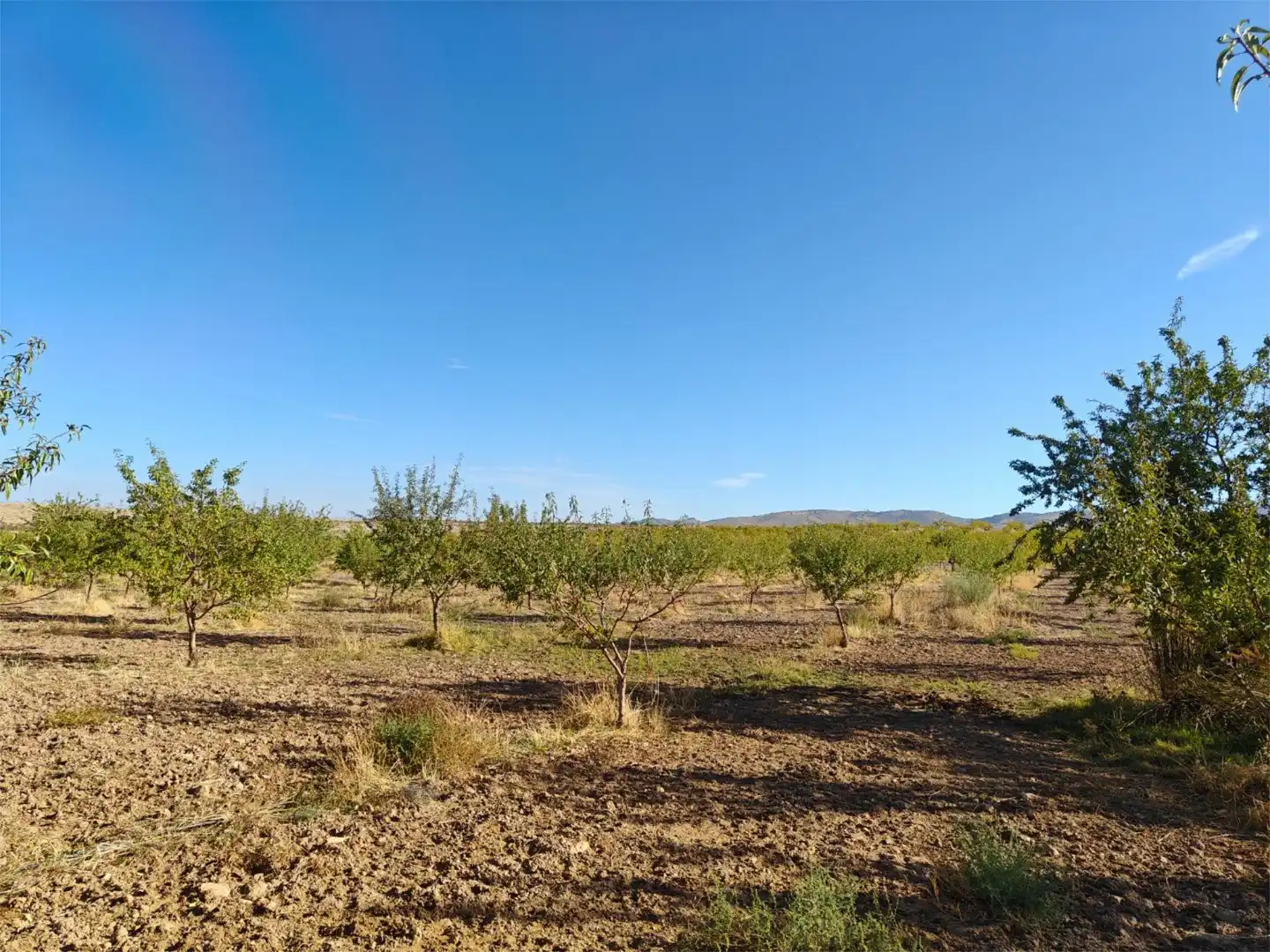Nicht bebaubares Gelände zum Verkauf in Camino de Gor, 5, Guadix Nicht bebaubares Gelände zum Verkauf in Guadix