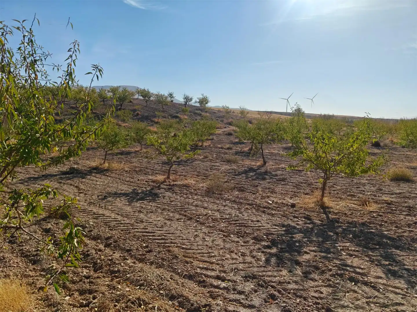 Nicht bebaubares Gelände zum Verkauf in Camino de Gor, 5, Guadix Nicht bebaubares Gelände zum Verkauf in Guadix