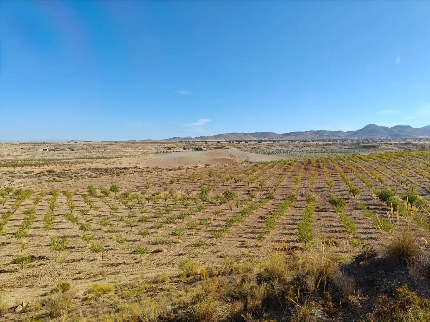 Nicht bebaubares Gelände zum Verkauf in Camino de Gor, 5, Guadix Nicht bebaubares Gelände zum Verkauf in Guadix