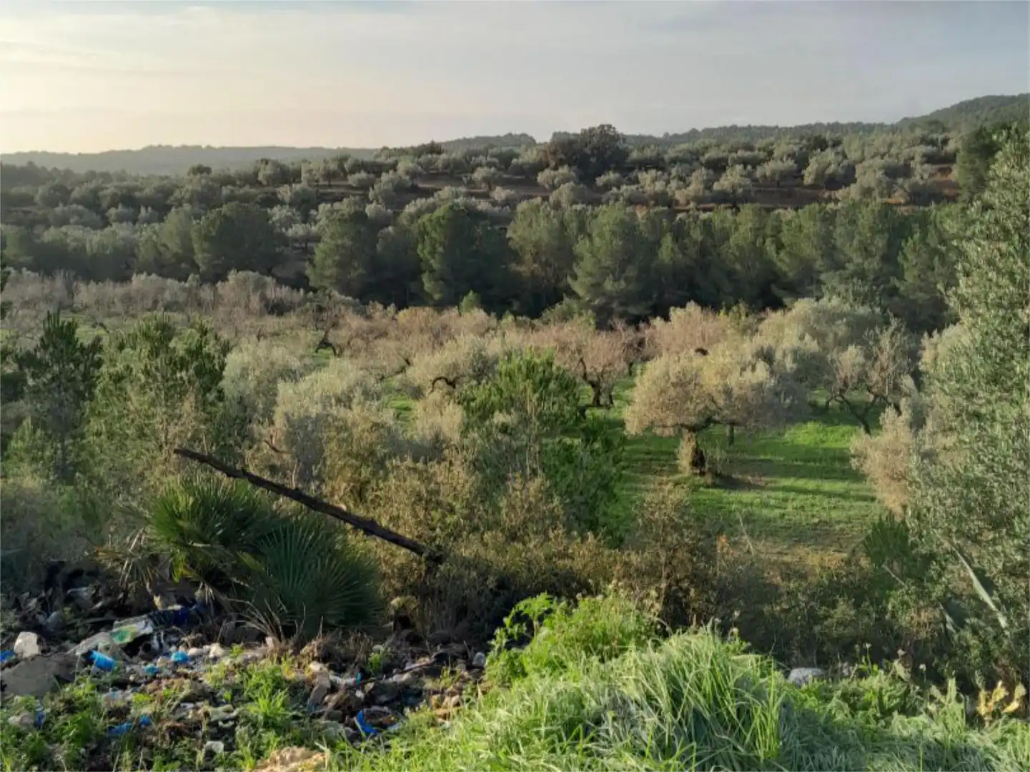 No Urbanitzable en venda en Tivissa