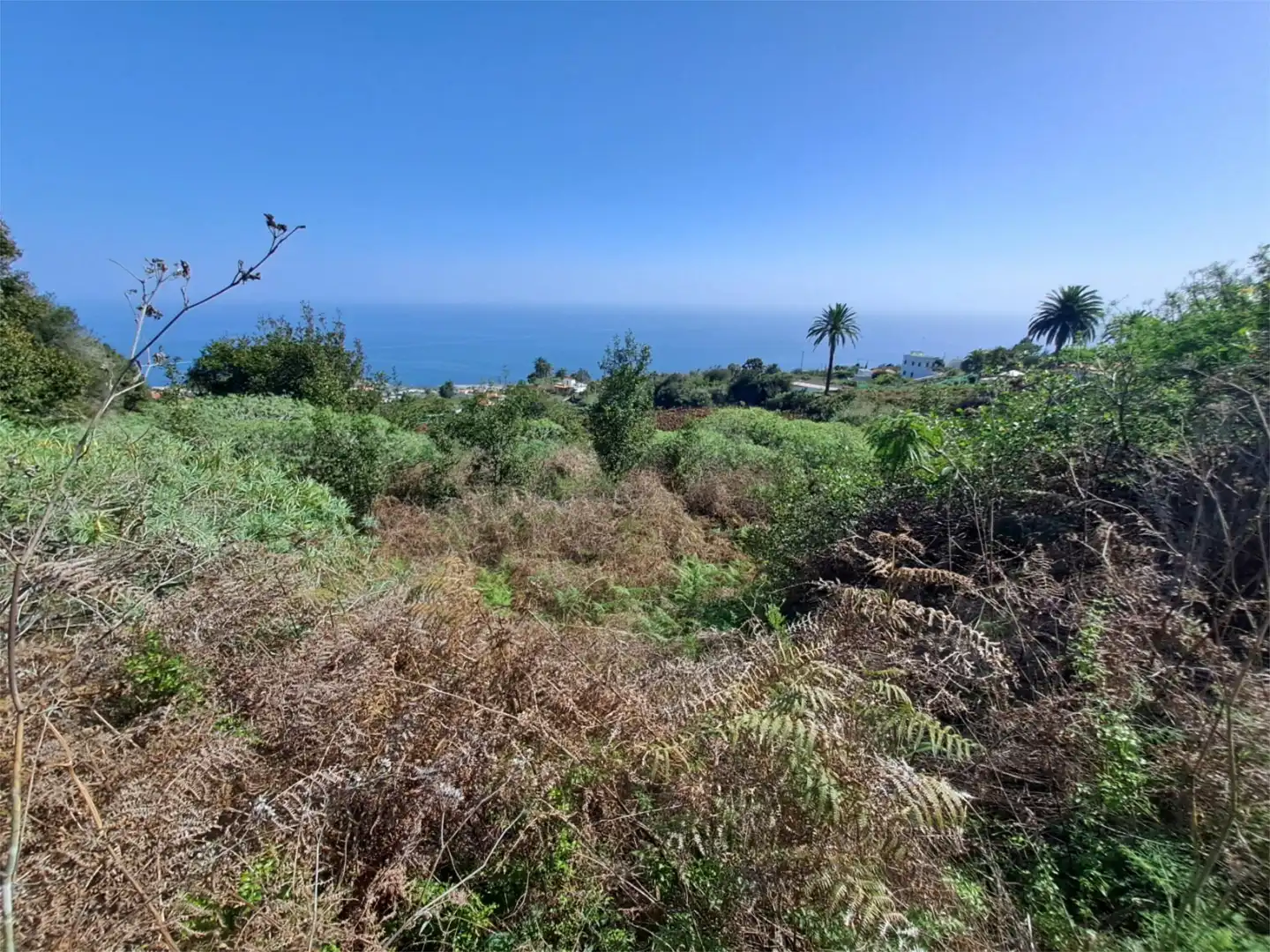 Terreno en venta en La Rosa, 81, Villa de Mazo Terreno en venta en La Rosa, 81, Villa de Mazo