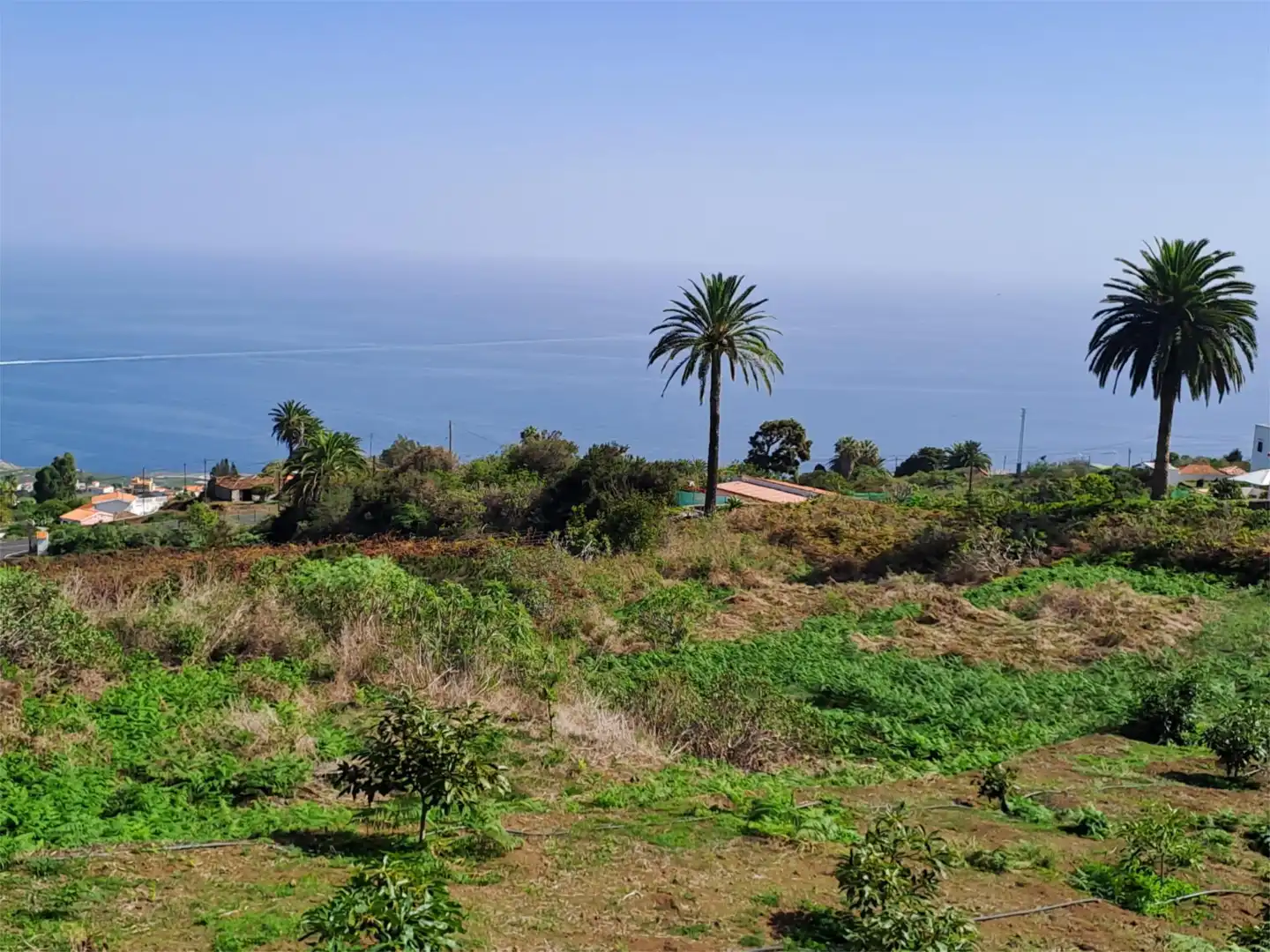 Terreno en venta en La Rosa, 81, Villa de Mazo Terreno en venta en La Rosa, 81, Villa de Mazo