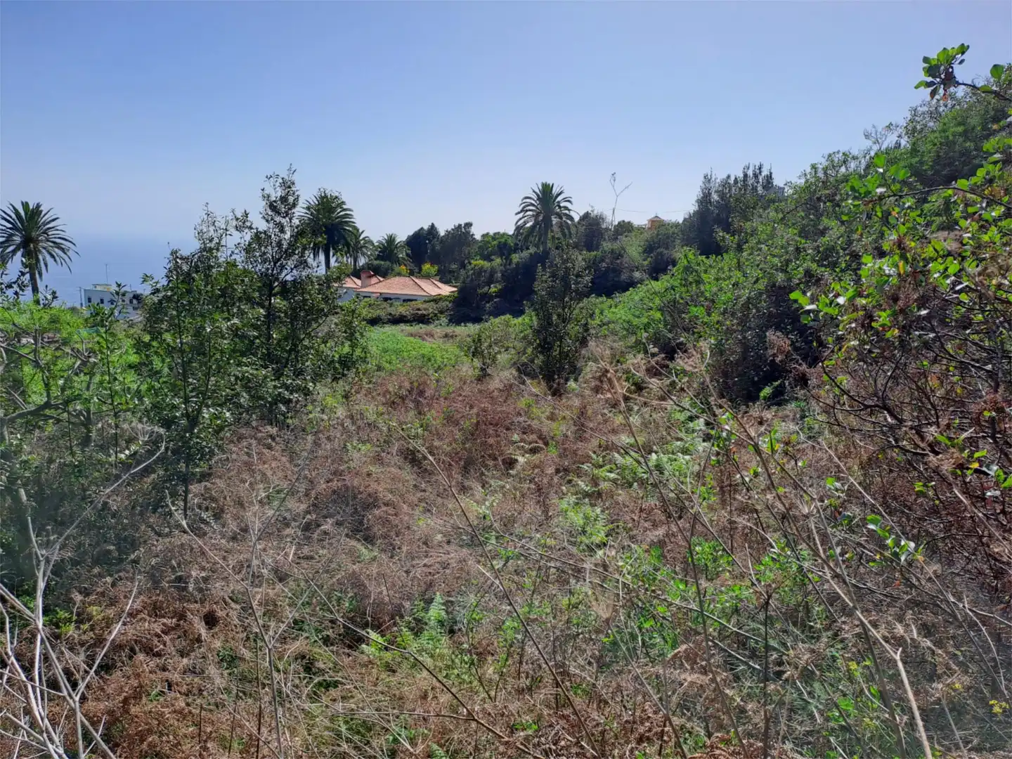 Terreno en venta en La Rosa, 81, Villa de Mazo Terreno en venta en La Rosa, 81, Villa de Mazo