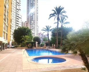 Piscina de Pis de lloguer en Benidorm amb Aire condicionat, Calefacció i Jardí privat