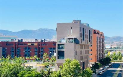 Piso en alquiler en campus de la salud