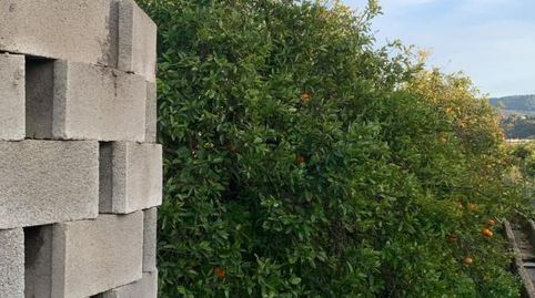 Foto 5 de Finca rústica en venda a Partida Quintanes, 14, Ador, Valencia