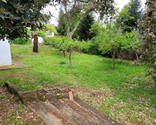 Jardí de Casa o xalet de lloguer en  Córdoba Capital amb Aire condicionat i Piscina