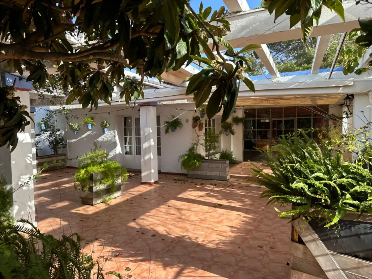 Terrace of Commercial properties for rent in Benalup-Casas Viejas