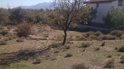 Foto 2 de Residencial en venta en Diseminado Cortijo Faz, 8, Fiñana, Almería