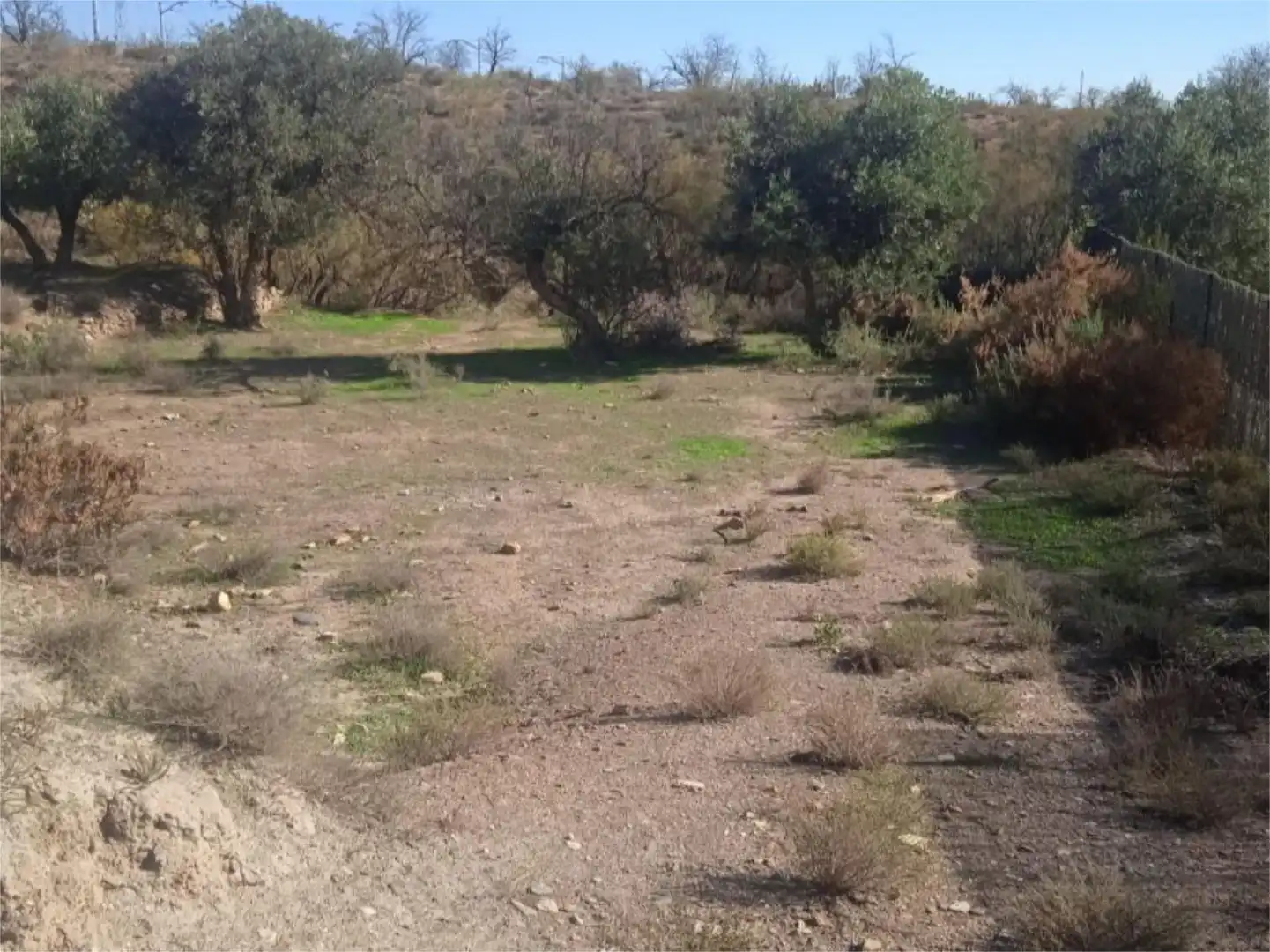 Residencial en venda en Fiñana