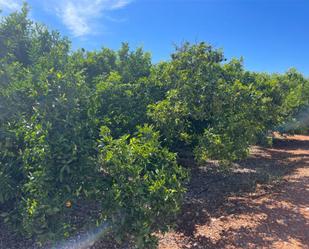 Finca rústica en venda en Vila-real amb Terrassa