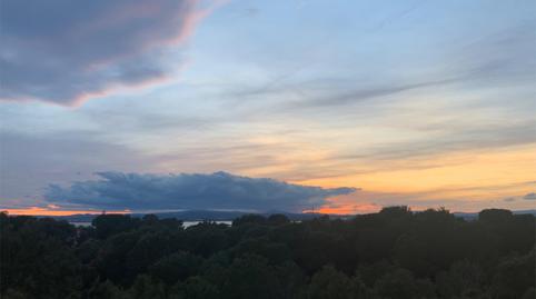 Photo 2 of Apartment to share in Diseminado Gola del Puchol, 8, El Saler,  Valencia Capital