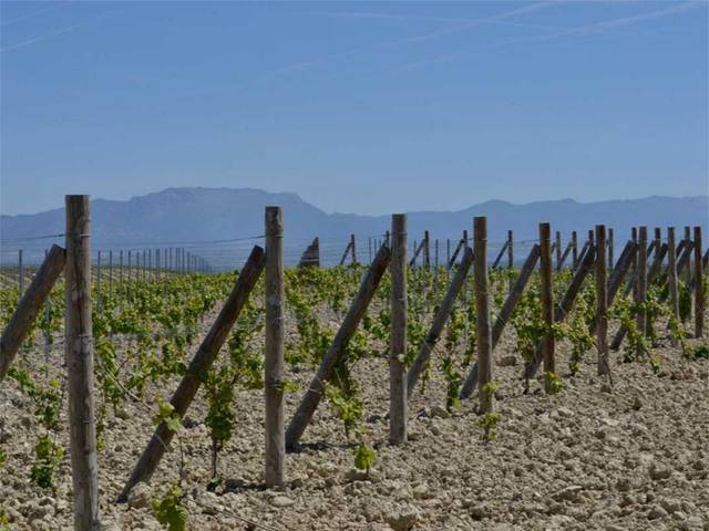 Terreno en Venta en Carretera Tricio, 8 en Arenzana de Arriba