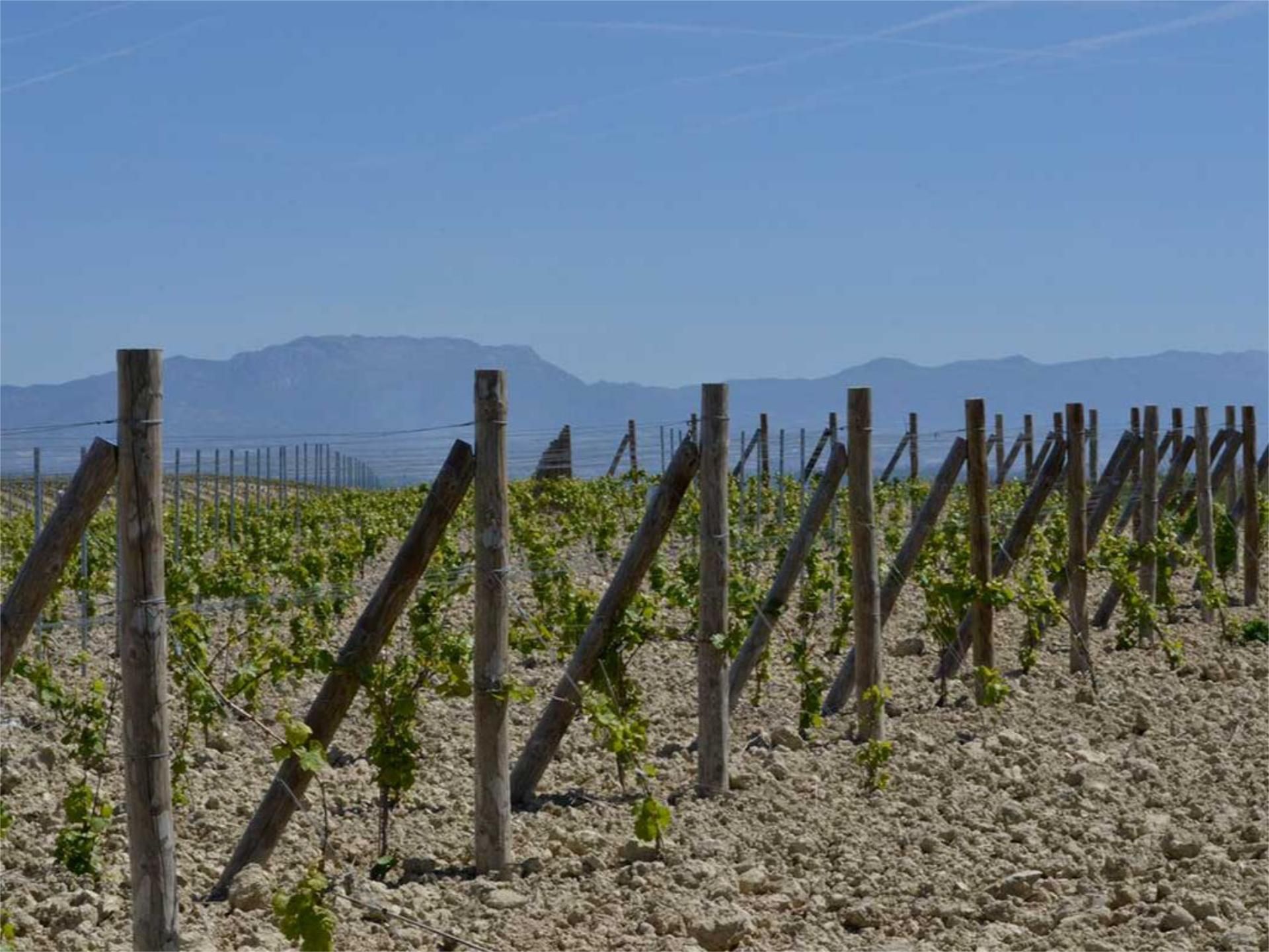 Exterior view of Land for sale in Arenzana de Arriba