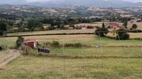 Non-constructible Land for sale in La Cruz, 60, San Claudio - Trubia - Las Caldas, Asturias - image 3 Photo 3 of Non-constructible Land for sale in La Cruz, 60, San Claudio - Trubia - Las Caldas, Asturias