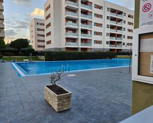 Swimming pool of Flat to rent in Las Palmas de Gran Canaria  with Private garden, Swimming Pool and Community parking