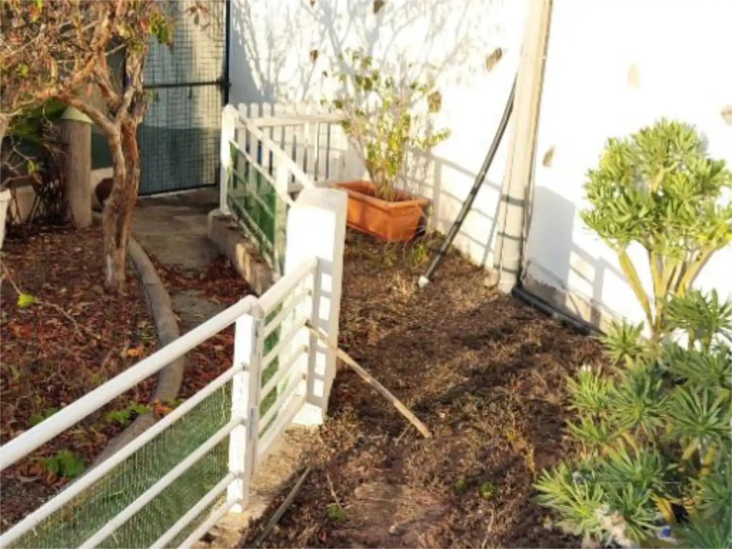 Garden of Houses for sale in Moya (Las Palmas)  with Terrace and Balcony