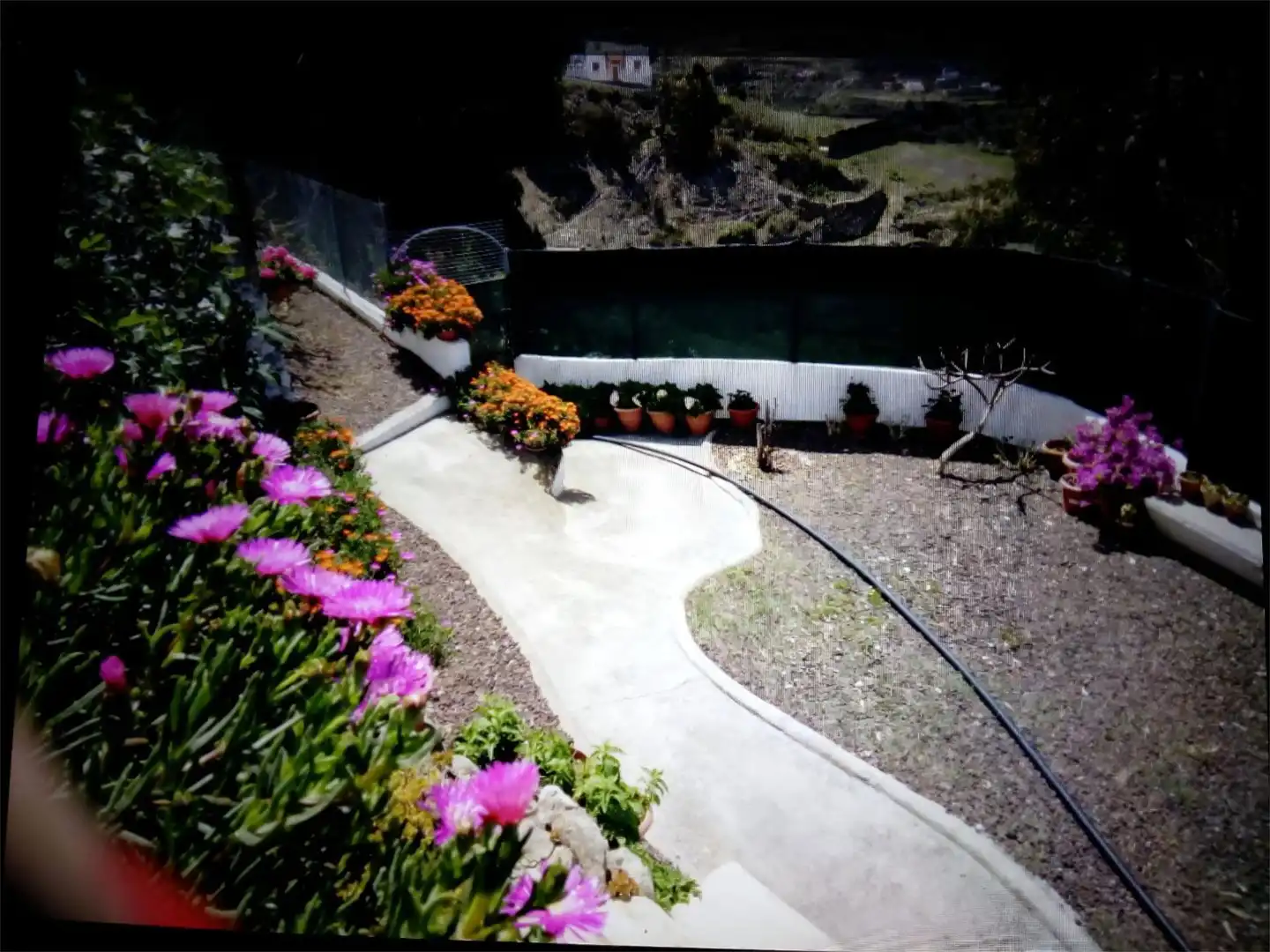 Garden of Houses for sale in Moya (Las Palmas)  with Terrace and Balcony