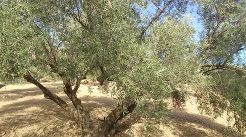 Photo 2 of Flat for sale in Calle Puerto Goñi, 6, Almogía, Málaga