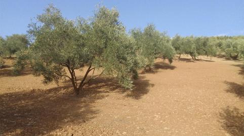 Photo 4 of Flat for sale in Calle Puerto Goñi, 6, Almogía, Málaga