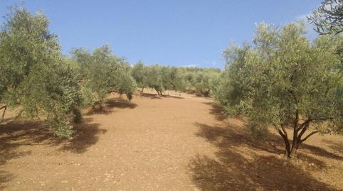 Photo 3 of Flat for sale in Calle Puerto Goñi, 6, Almogía, Málaga