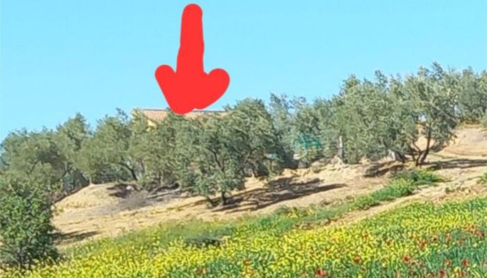 Photo 1 of Flat for sale in Calle Puerto Goñi, 6, Almogía, Málaga