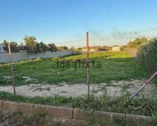 Land for sale in Almensilla